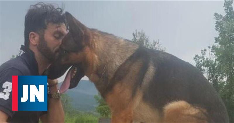 Muerte por envenenamiento de "perro héroe" de Amatrice choca Italia