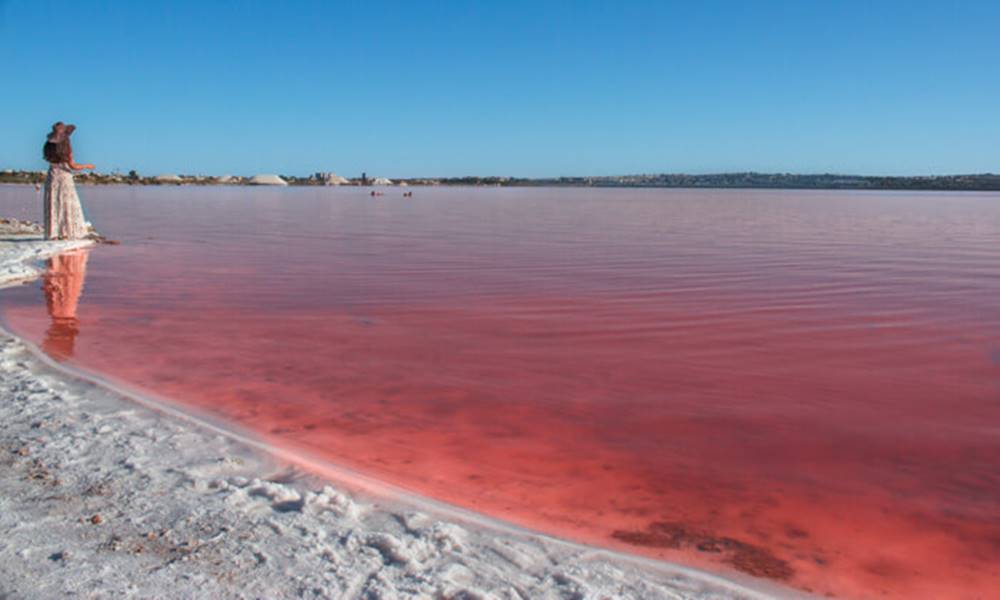 El lago rosa de Torrevieja