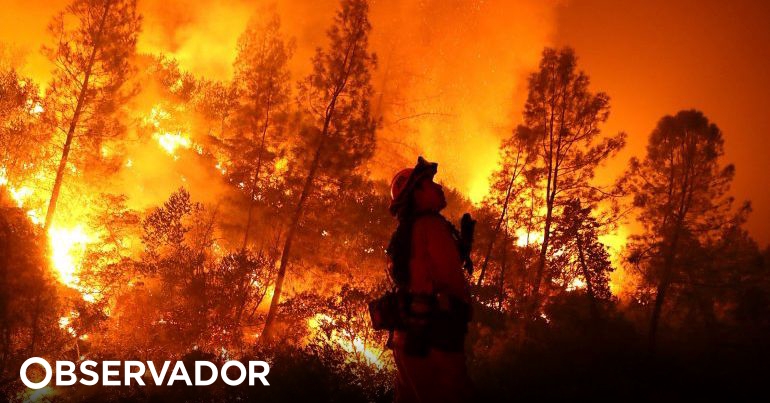 Hay un incendio con un cuarto del tamaño del Algarve a labrar en California