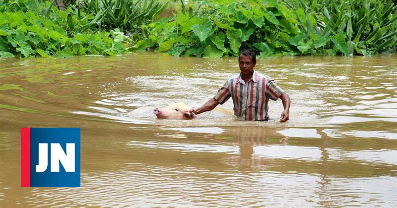Más de 400 muertos en las inundaciones en Kerala, en el sur de la India