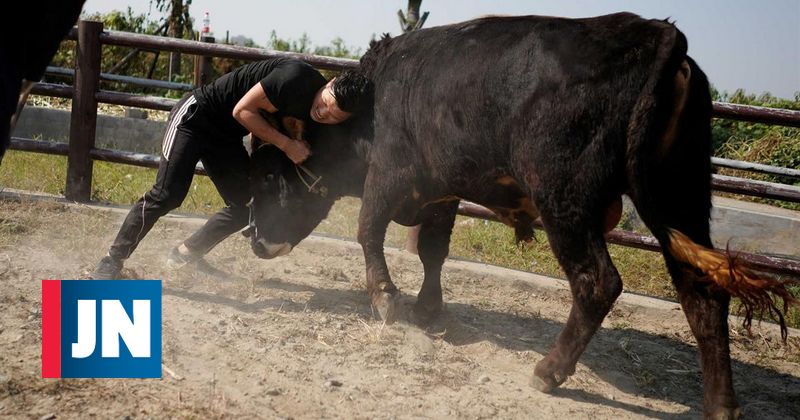La tradición secular de las corridas de toros con artes marciales