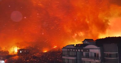 Incendio forestal en Corea del Sur desaloja a 4.000 personas cerca de la frontera