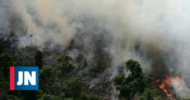 El fuego de Amazon dura varios días y ya se ve desde el espacio