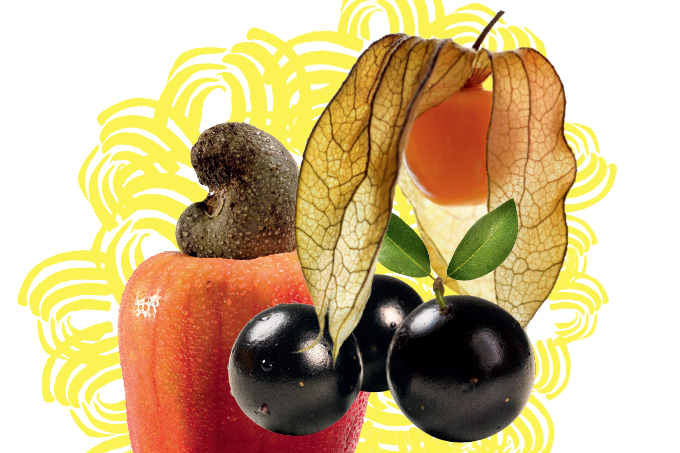 frutas nativas