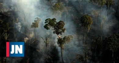 Estados Unidos y Brasil anuncian 100 millones de fondos de biodiversidad amazónica