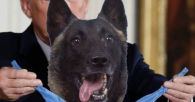 Trump publica foto alterada que entrega medalla a perro herido en acción contra terrorista
