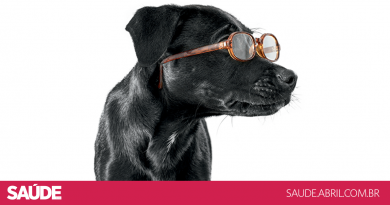 Catarata y glaucoma: los animales también tienen problemas de visión