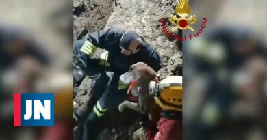 Los bomberos rescatan perros atrapados en una cantera de 36 horas