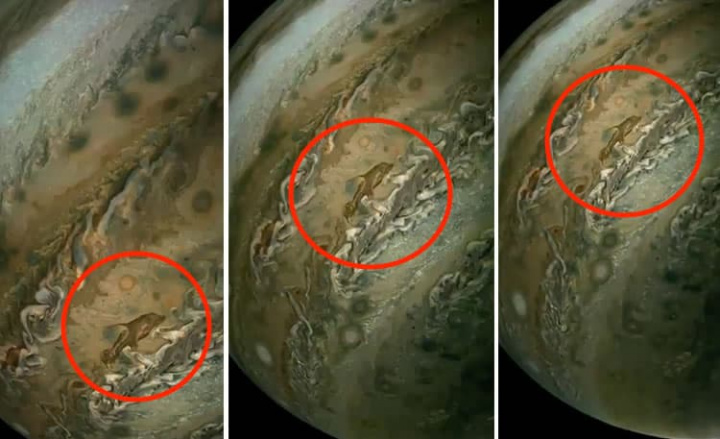 Imagen de Júpiter con un punto similar a un delfín, capturado por la nave espacial Juno de la NASA.