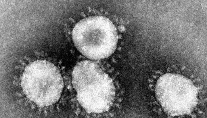 Imagen de coronavirus