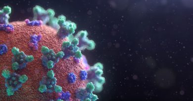 Las teorías de conspiración están equivocadas: el coronavirus vino de la naturaleza