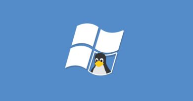 China: Linux podría reemplazar a Windows en 3 a 10 años