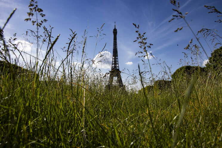 La Torre Eiffel no debería volver a abrir antes de la segunda quincena de junio