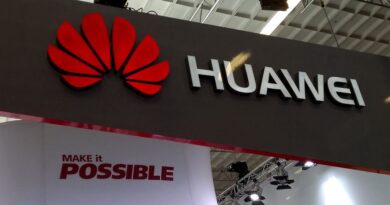 Chiva vs EE. UU .: ¿Fue un error el ataque de Trump a Huawei?