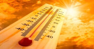IPMA: mayo de 2020 fue el mes más caluroso desde 1931
