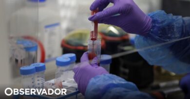 COVID-19. Más de 20,000 pruebas en el Algarve utilizando un método que evalúa a 10 personas a la vez