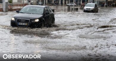 Chuva e trovoada provocam inundações e quedas de árvores em Évora
