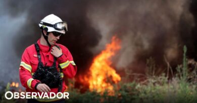 Más de 160 operarios luchan contra incendios en un área de arbustos en Vialonga