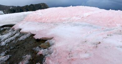 Neve Rosa? Cientistas investigam misterioso fenónemo num glaciar