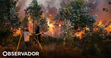 "Varias reactivaciones" en un incendio en Covilhã. Más de 500 bomberos en combate.