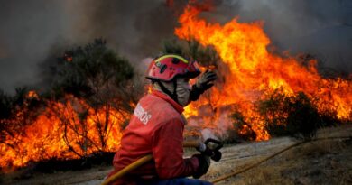 fogos.online: Veja, em tempo real, que fogos há em Portugal