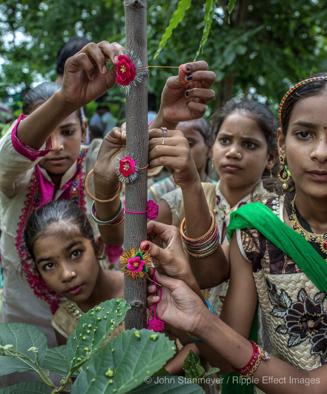 Por cada niña, 111 árboles: Piplantri en India es una comunidad modelo