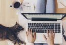 COVID-19: Recusar teletrabalho terá de ser feito por escrito