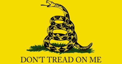 El diseño de la serpiente presente en el acto pro-Trump fue desde el símbolo de la independencia hasta la bandera conservadora