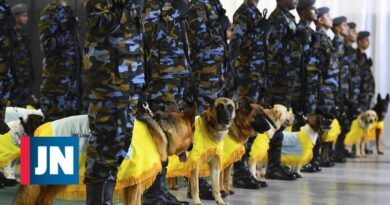 Los perros de la Fuerza Aérea desfilan estrictamente en la ceremonia de graduación