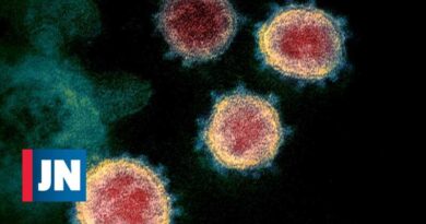La mutación en la proteína SARS-Cov-2 la hace hasta ocho veces más infecciosa