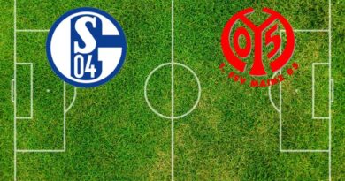 Formazioni Schalke 04-Mainz 05