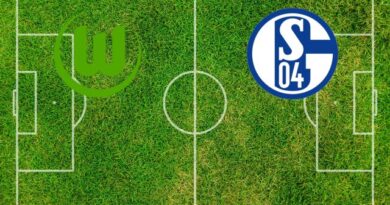 Formazioni Wolfsburg-Schalke 04