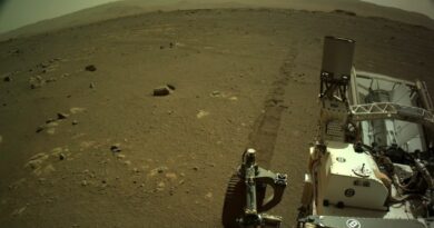 Imagem do rover Perseverance no solo de Marte