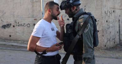 Las mentiras en las redes sociales encienden el conflicto palestino-israelí
