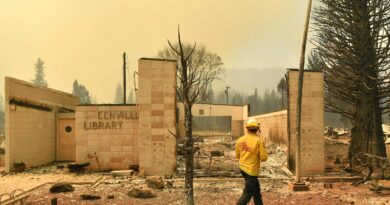 Incendio forestal deja en ruinas hist贸rica ciudad de California