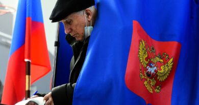 Los resultados preliminares dan la victoria al partido pro Putin en las elecciones parlamentarias en Rusia