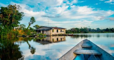 Una mirada a la salud de las poblaciones amazónicas