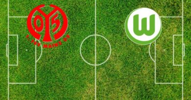 Formazioni Mainz 05-Wolfsburg