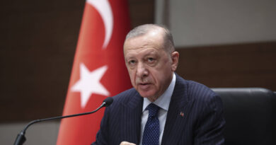 Periodista turco arrestado acusado de insultar a Erdogan