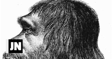 El Homo sapiens llegó a Europa mucho antes de lo informado