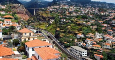Madeira: disminuyó el número de nuevos contratos de arrendamiento, pero aumentó el valor del m2