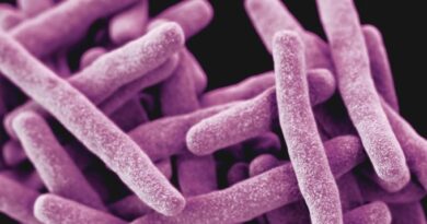 La tuberculosis sigue siendo un desafÃ­o de salud pÃºblica en Brasil