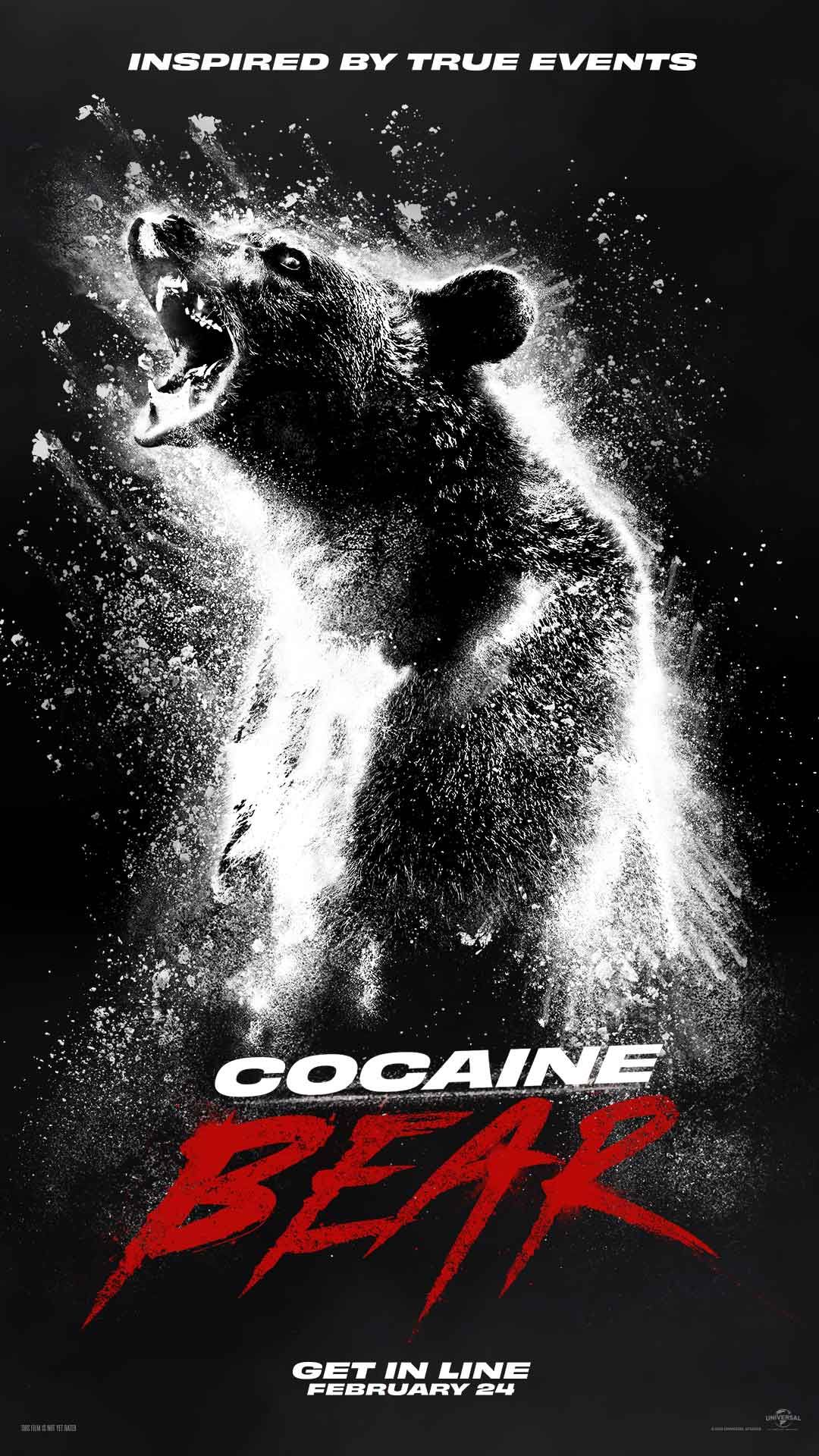 Oso de cocaína