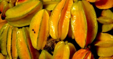Carambola: ¿cuáles son los beneficios y cuándo puede ser perjudicial la fruta?
