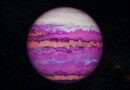 Ilustração de um planeta extraterrestre com "vida" púrpura